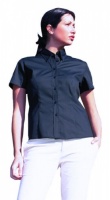 73_ladies-pinpoint-oxford-short-sleeve-shirt_2.jpg